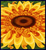 Sunflowers theme for hand painted furniture by Reincarnations